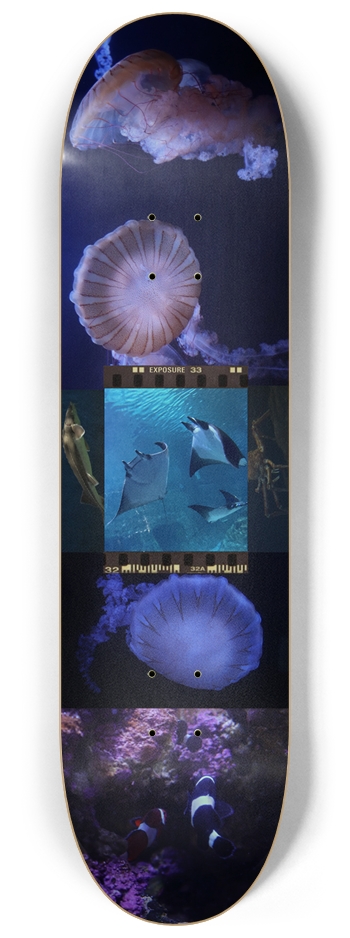BIOLUMINESCENCE