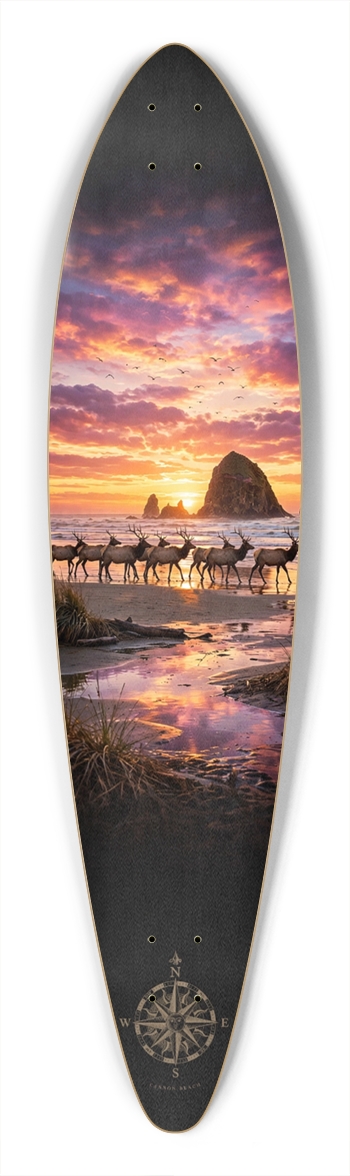 Cannon Beach Longboard 1
