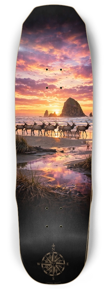Cannon Beach Skateboard 1 Sledge