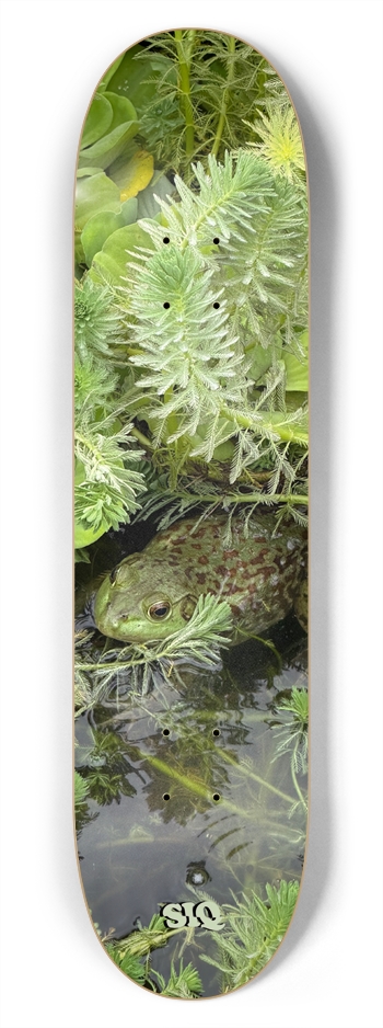 Frog Deck