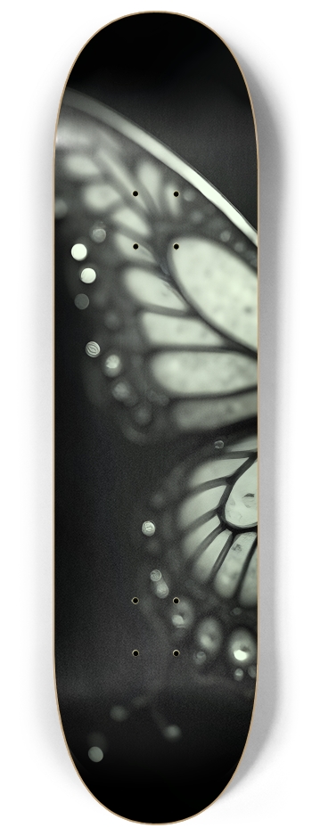 Fractal Anime Butterfly #1 #1