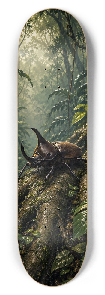 Rhinoceros Beetle