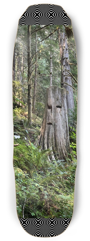 Moss