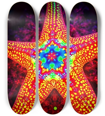 Starfish #15