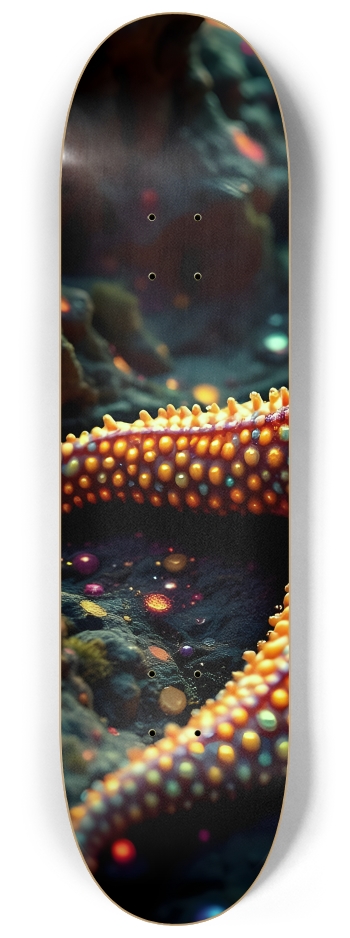 Starfish #6 #1