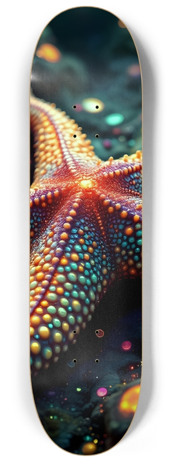 Starfish #6 #2 8-1/4 Skateboard Deck