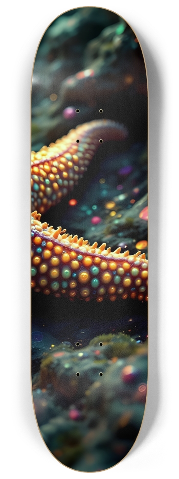 Starfish #6 #3