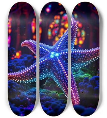 Starfish #16