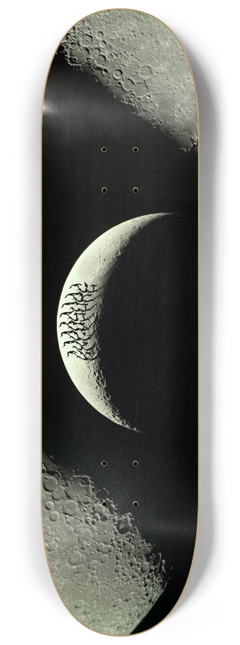 MOONBOUND 8-1/4 Skateboard Deck