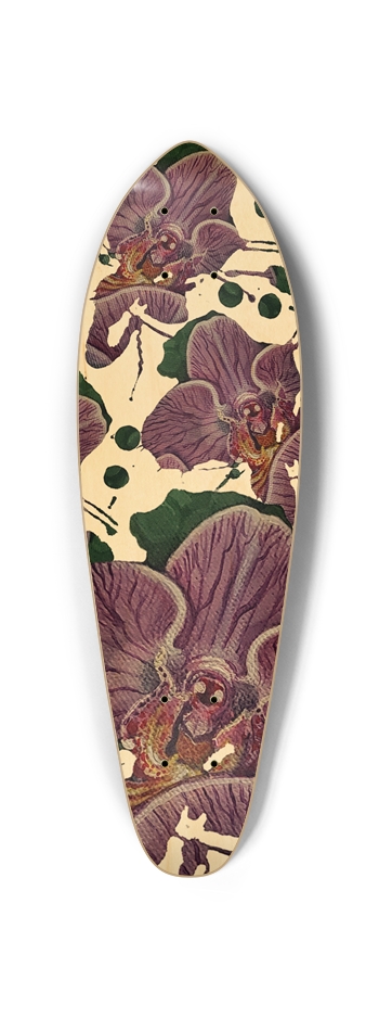 Mini cruiser orchids