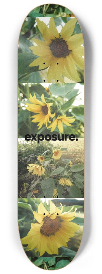 Sunny 8-1/4 Skateboard Deck