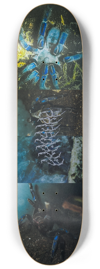 LIVIDUS 8-1/4 Skateboard Deck