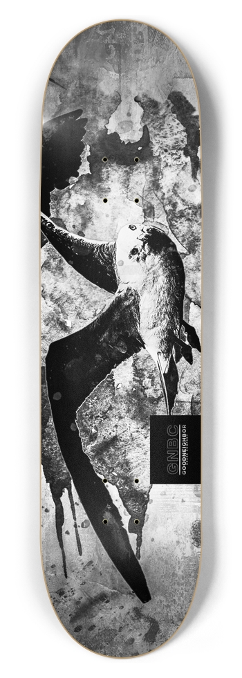 Seagull 8.5”
