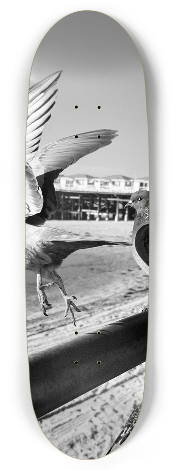 Learn to Fly, Custom Skateboard