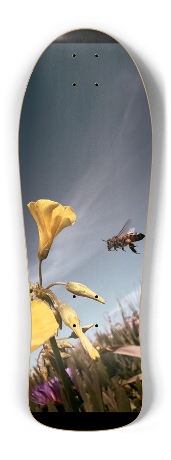 Custom Skateboard