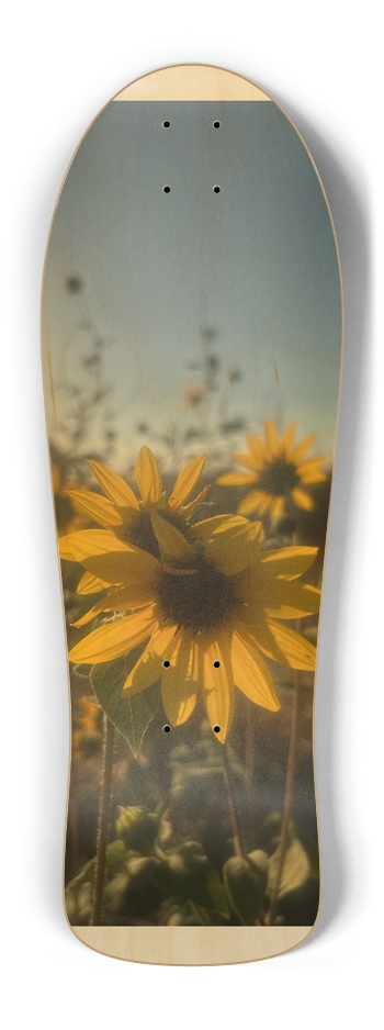 Petal, Custom Skateboard Old School Shape