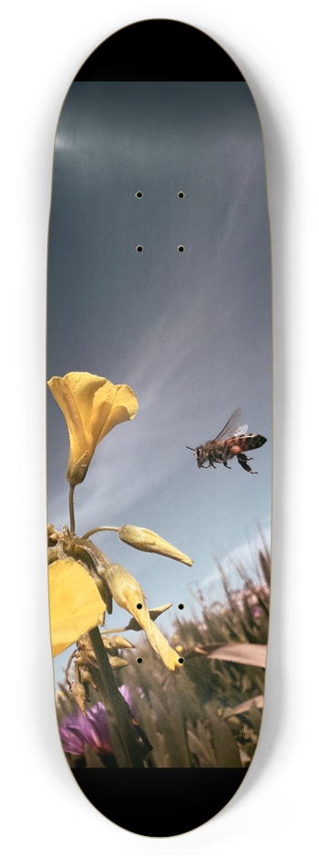 Bee Inbound Custom Skateboard