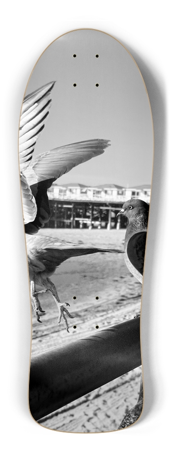 Learn to Fly,Custom Skateboard Old School Shape