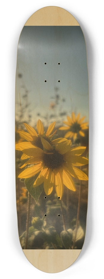 Petal, Custom Skateboard