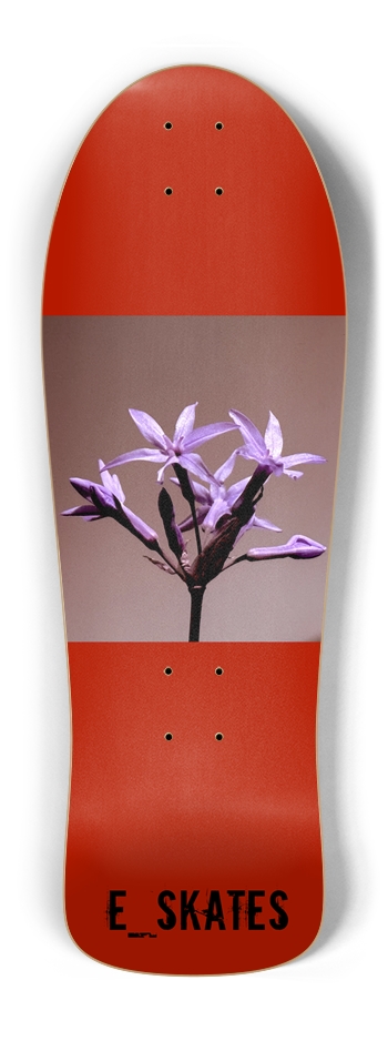 E_SKATES, Custom Skateboard Old School Shape