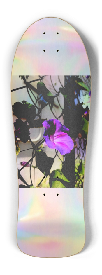 HOLLOW, Custom Skateboard