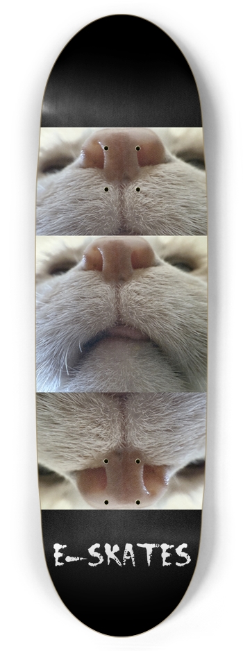 BLEP, Custom Skateboard