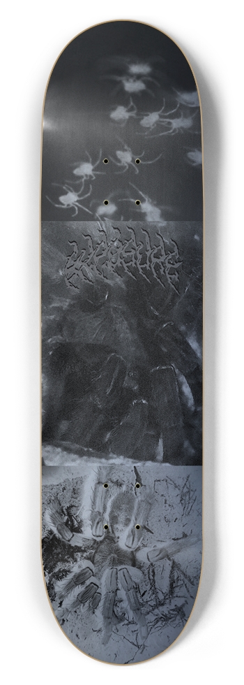 LIVIDIUM 8-1/2 Skateboard Deck