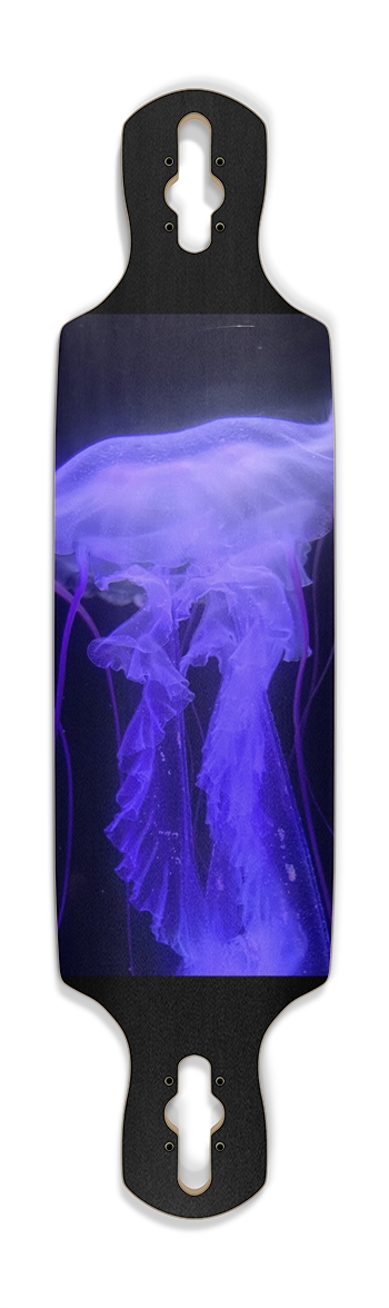 Jellyfish,Custom Skateboard