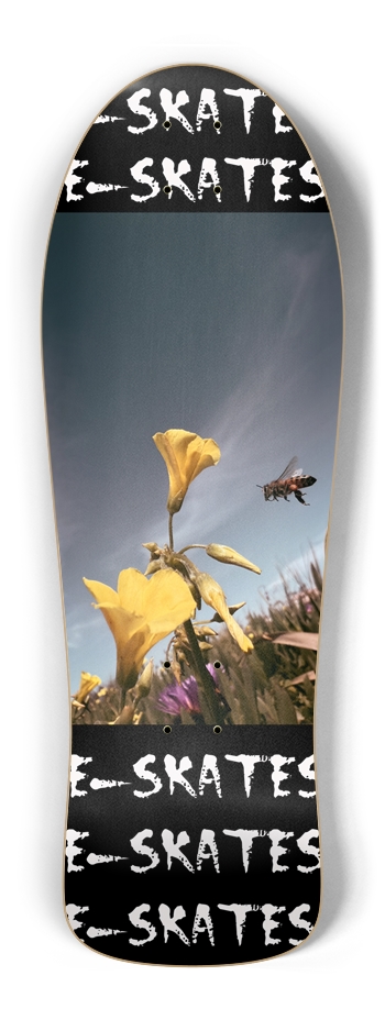 Custom Skateboard