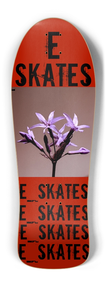 E_SKATES, Custom Skateboard