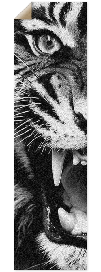 Angy Kitty Griptape