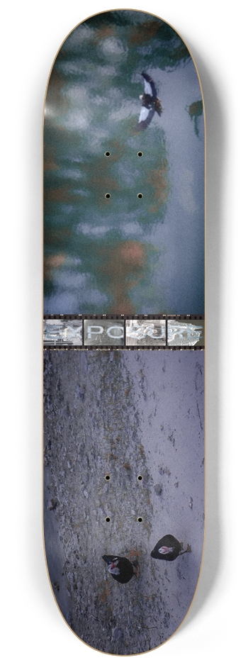 Duck! 8-1/4 Skateboard Deck