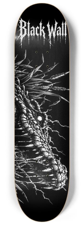 Black Wall Custom Skateboard Wall Series #2