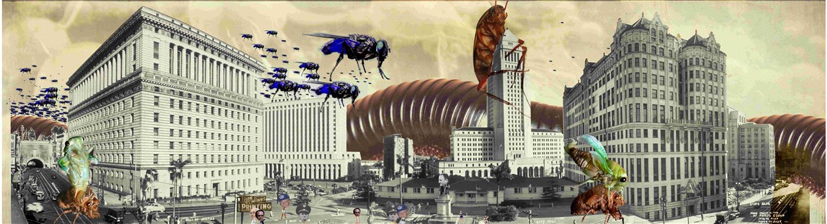 downtown 7-3/4 Skateboard Deck