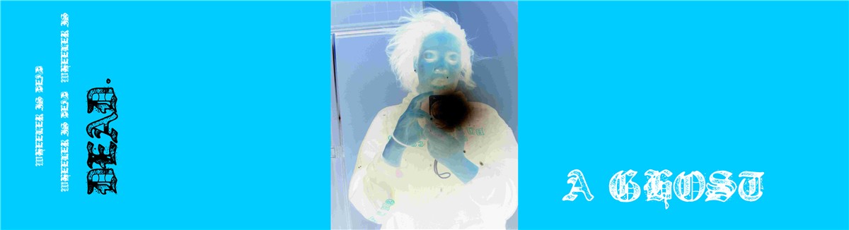 7-3/4 All-Around Deck  7-3/4 Skateboard Deck 